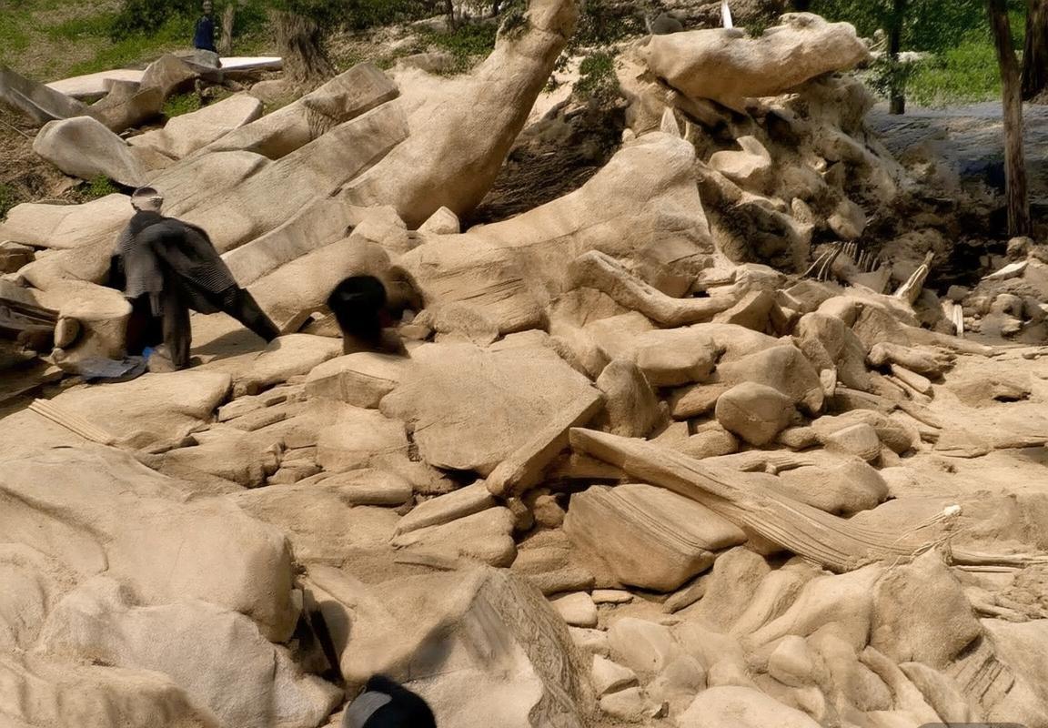 DOTA2赛事数据：2025赛季噬魂鬼成为职业比赛最热门核心